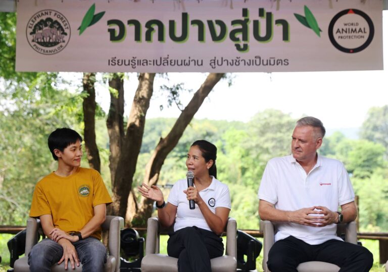 เปิดตัว Elephant Forest Phitsanulok “จากปางสู่ป่า” ต้นแบบปางช้างสวัสดิภาพสัตว์ระดับโลก แห่งแรกในภาคเหนือตอนล่าง